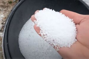 Вносити карбамід потрібно з розрахунку одна жменя під дерево середнього розміру