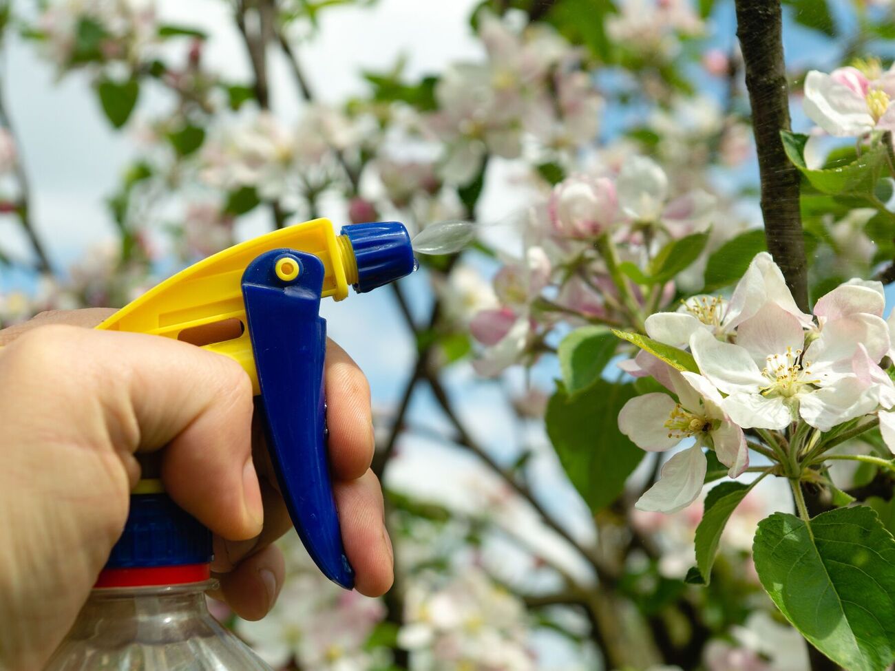 Грибные сборы помогут избавиться от майских жуков
