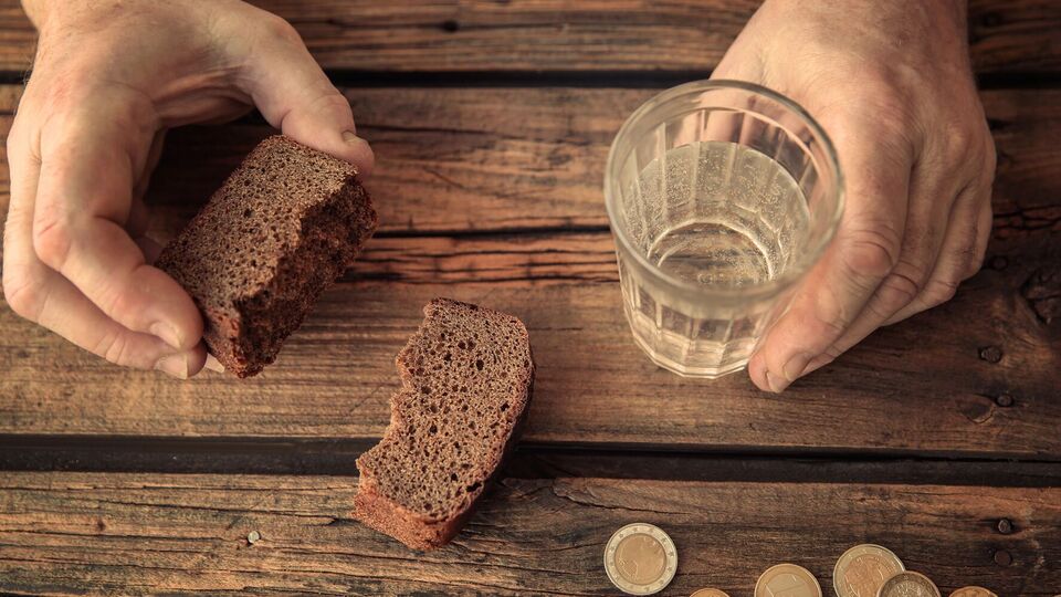 Хлебный настой чрезвычайно полезен для растений