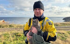 Комаров признался, что пять лет назад остров Змеиный поразил его своей энергетикой