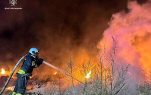 Рятувальник знепритомнів, коли гасив рослинність, зазначили в ДСНС
