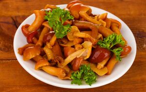 Пугачова із сім'єю виїхала з РФ після того, як їх почали цькувати за критику російського режиму