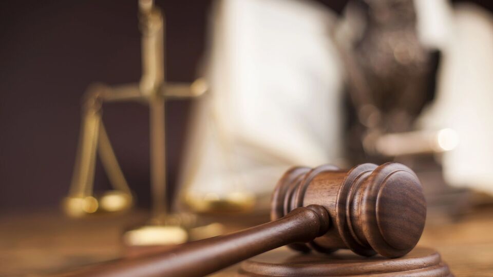 Українці призначили покарання у вигляді дев'яти років позбавлення волі
