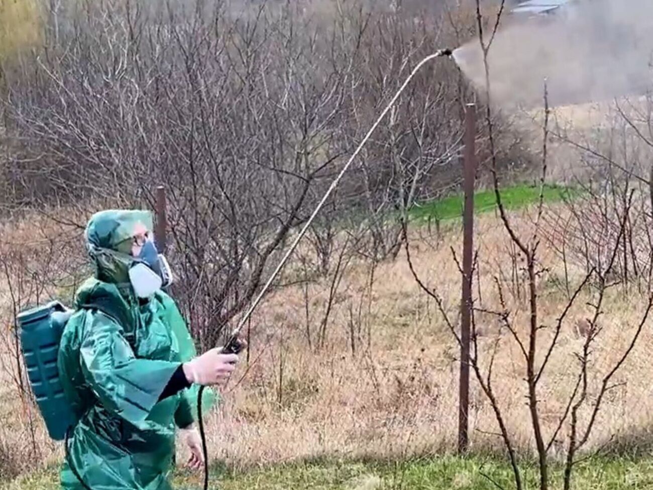 Главную обработку сада от болезней и вредителей проводят в безветренную теплую погоду