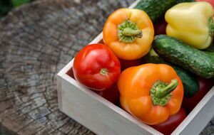 Сладкий перец может горчить из-за перекрестного опыления с другими сортами