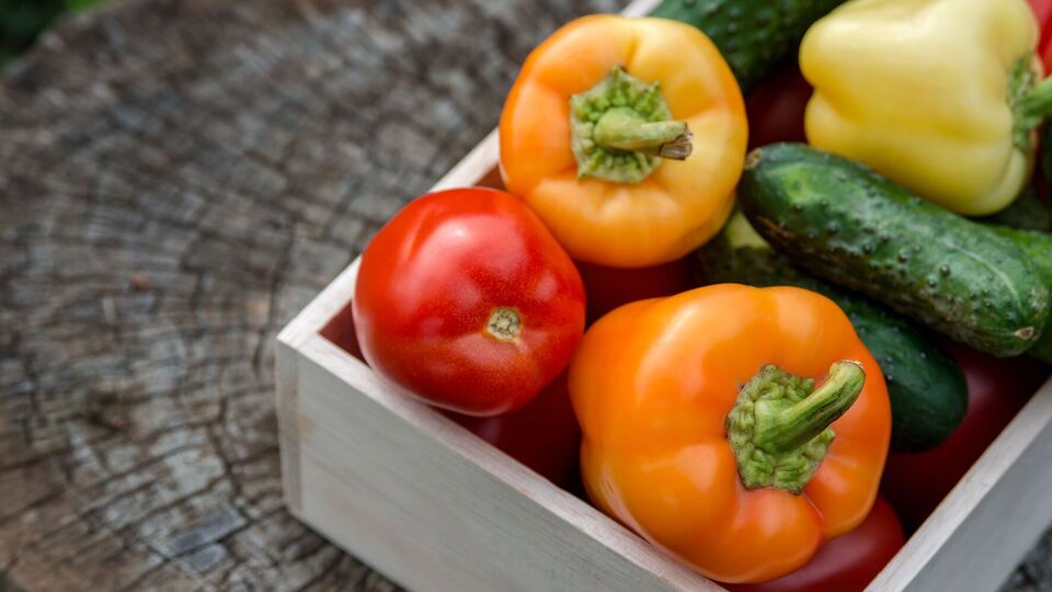 Сладкий перец может горчить из-за перекрестного опыления с другими сортами