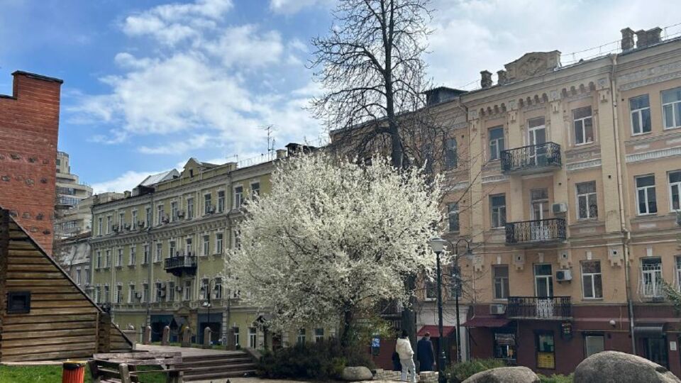 На Вербну неділю в Україні прогнозують сонячні +10...+15 °С