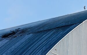 Первые результаты исследований будут известны в мае, рассказала министр