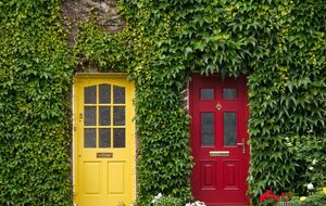 "Красные двери, желтые двери", также известная как "Двери разума", является формой психологической манипуляции, ухудшающей самочувствие и повышающей уровень тревожности