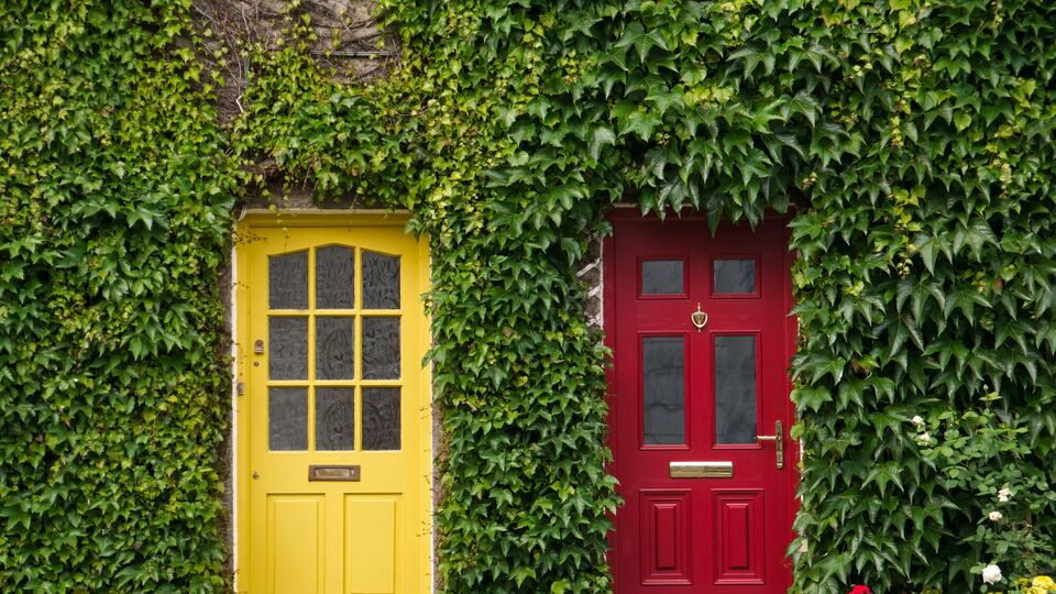 "Красные двери, желтые двери", также известная как "Двери разума", является формой психологической манипуляции, ухудшающей самочувствие и повышающей уровень тревожности