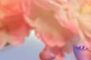 Козловський: Знаю, що ти пишався б своїм онуком і радів за свого сина