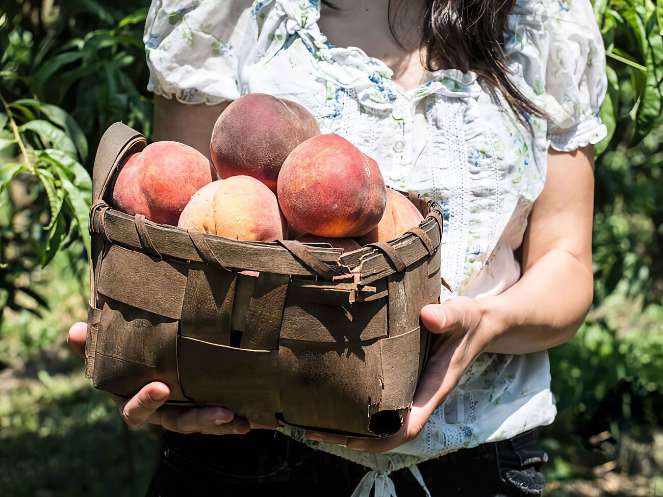 Различные деревья требуют разного стиля посадки