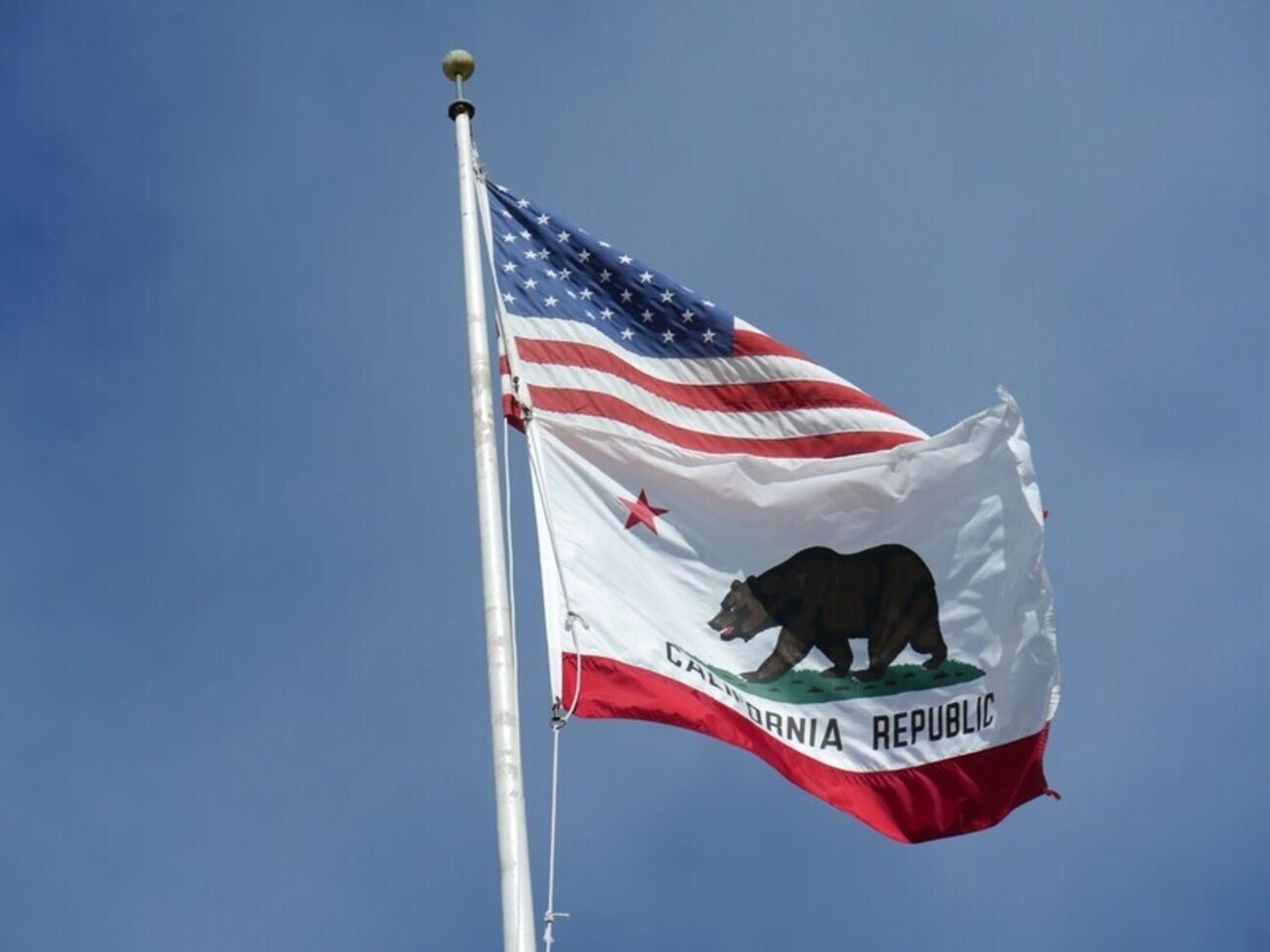 Калифорнийские чиновники сослались на вред для потребителей и бизнеса из-за пошлин Трампа