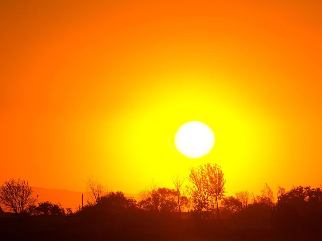 У WMO назвали "разючим" контраст кліматичних умов між сходом і заходом Європи