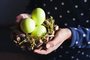 Яйца быстро приобретут цвет