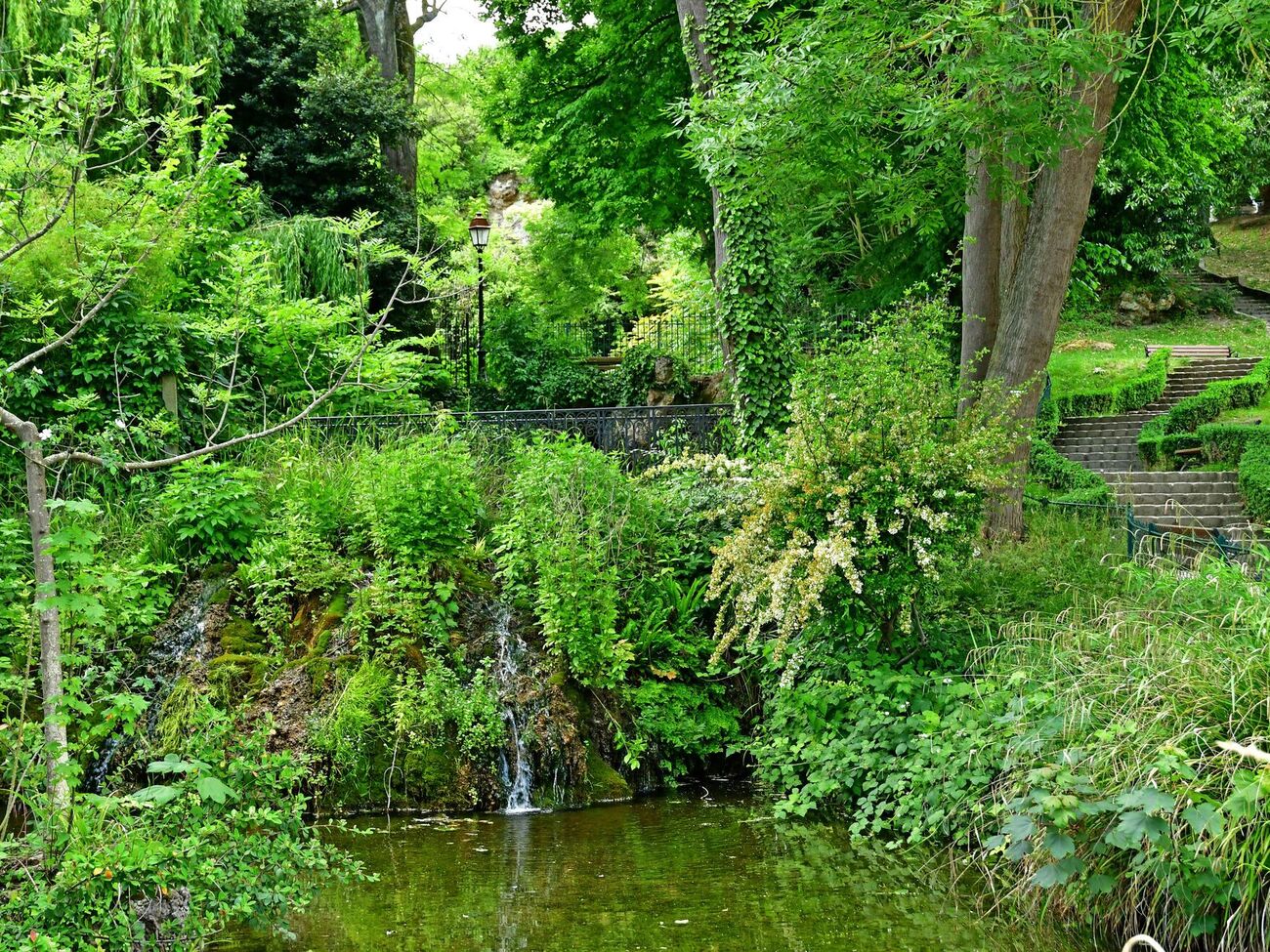 Некоторые деревья хорошо укрепляют берег водоемов