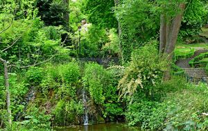 Некоторые деревья хорошо укрепляют берег водоемов