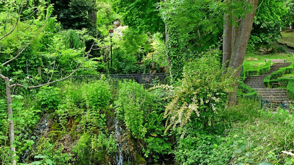 Некоторые деревья хорошо укрепляют берег водоемов