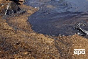 Российские суда представляют угрозу для экологии, заявили в ЦПД