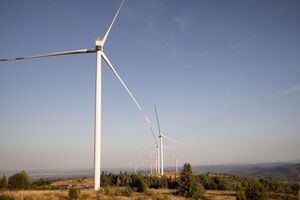 Датский опыт, технологии и инвестиции способны помочь Украине, отметил председатель правления УВЭА