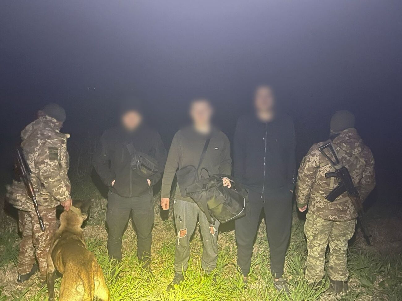 Задержание проводилось с помощью служебной собаки