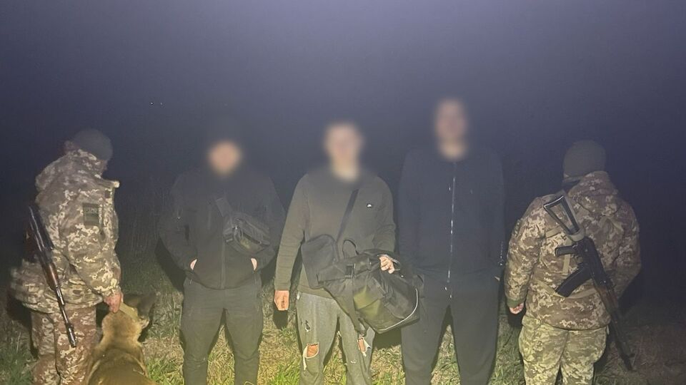 Задержание проводилось с помощью служебной собаки