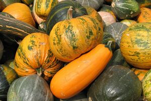 Важно избегать переопыления кабачков и тыквы, чтобы не разочароваться