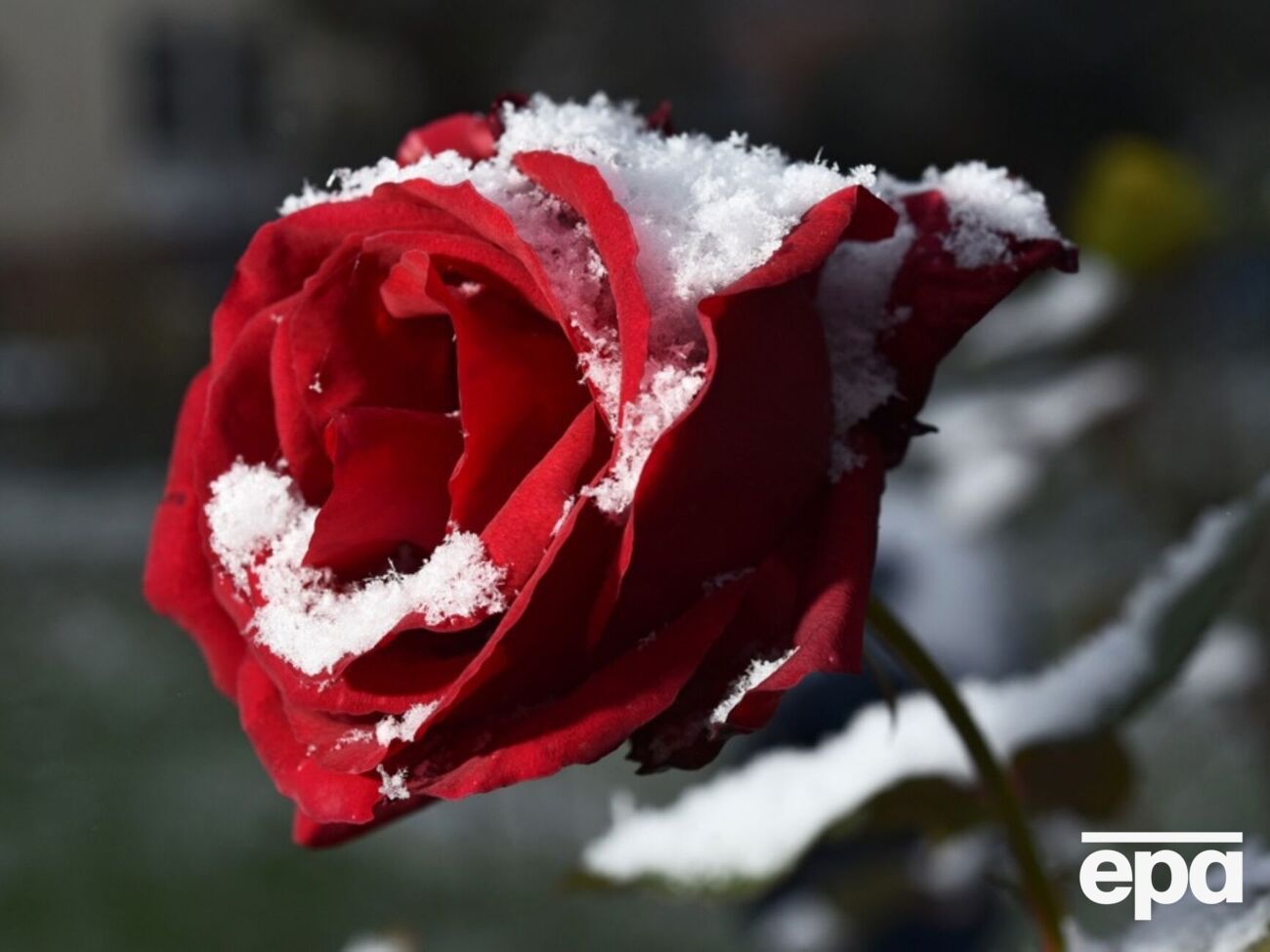 Синоптики прогнозируют заморозки на поверхности почвы ночью. В Сумской области вероятен снег, теплее всего будет на юге страны