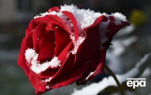 Синоптики прогнозируют заморозки на поверхности почвы ночью. В Сумской области вероятен снег, теплее всего будет на юге страны
