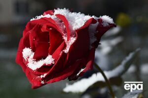 Синоптики прогнозируют заморозки на поверхности почвы ночью. В Сумской области вероятен снег, теплее всего будет на юге страны