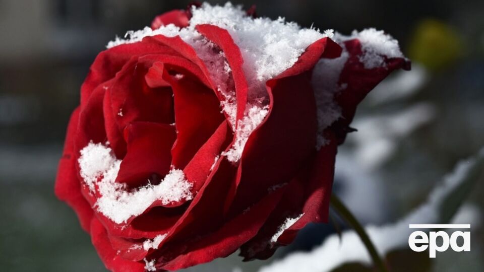 Синоптики прогнозируют заморозки на поверхности почвы ночью. В Сумской области вероятен снег, теплее всего будет на юге страны