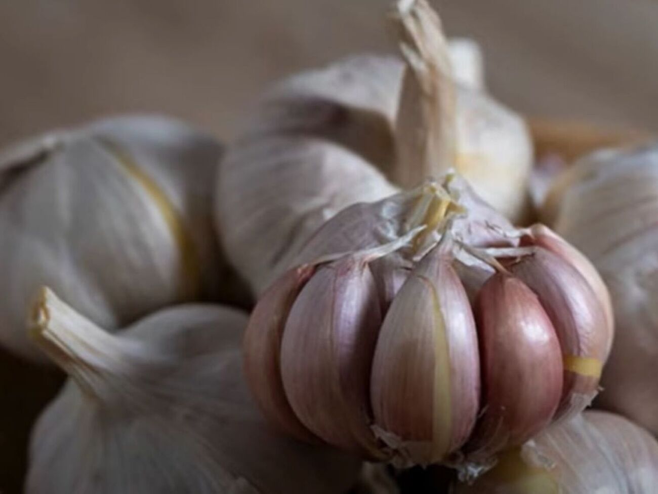 Чеснок нуждается в азоте, который содержится в нашатырном спирте