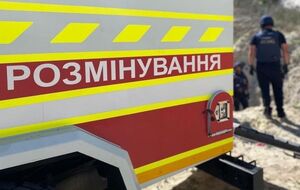 У ДСНС зазначили, що обставини інциденту з'ясовують правоохоронці