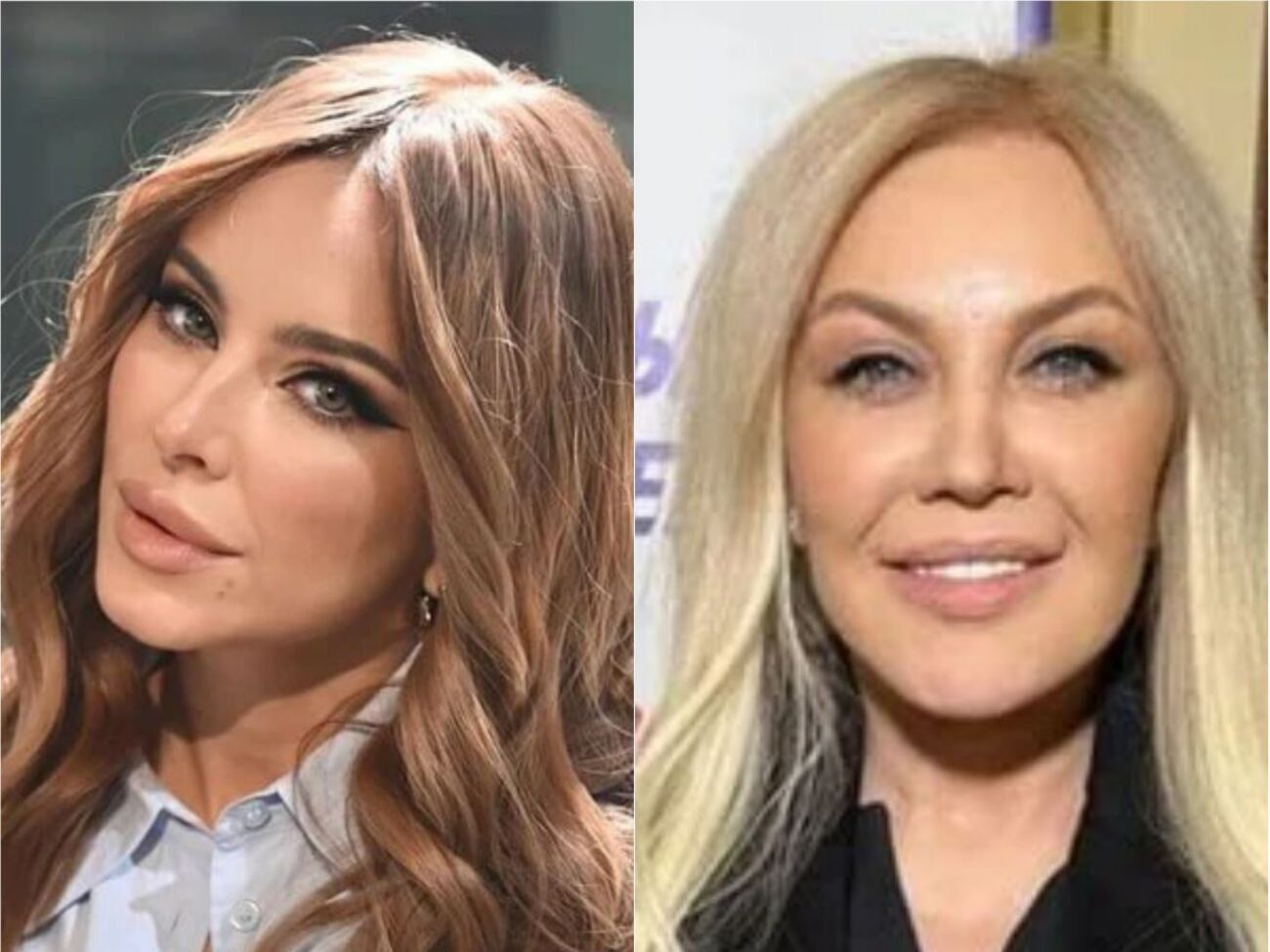 Сестра Ивасюка: Ни Ани Лорак, ни Таисия Повалий не имеют права исполнять песни Владимира Ивасюка