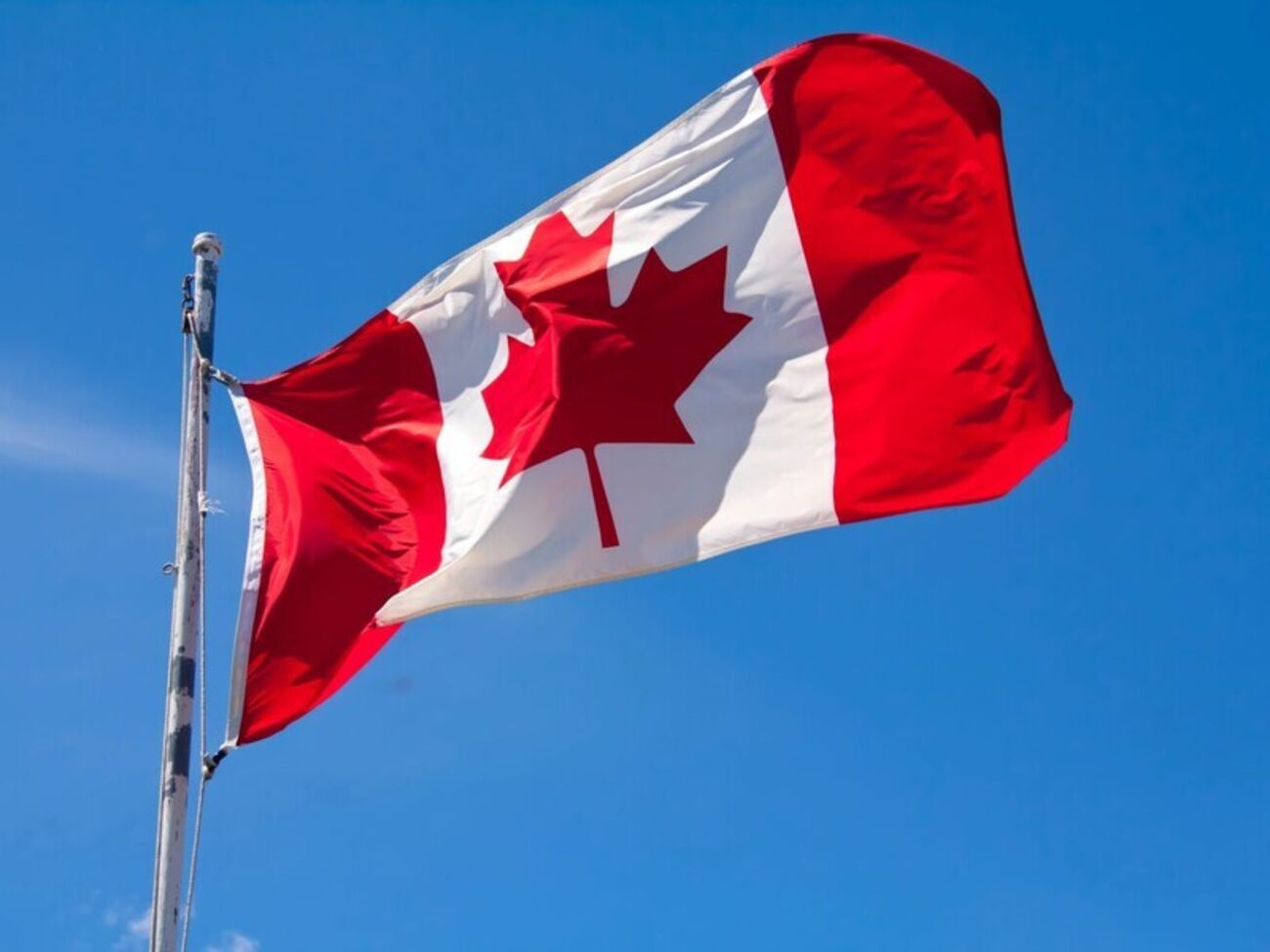 Первые результаты выборов в Канаде из самых восточных провинций начнут поступать в 19.00–19.30 по местному восточному времени (после 2.00 по Киеву)