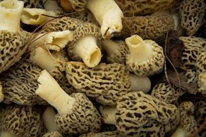 Зморшки потрібно збирати ретельно