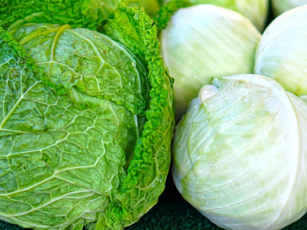 Листья капусты не должны быть плотными
