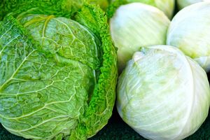 Листья капусты не должны быть плотными
