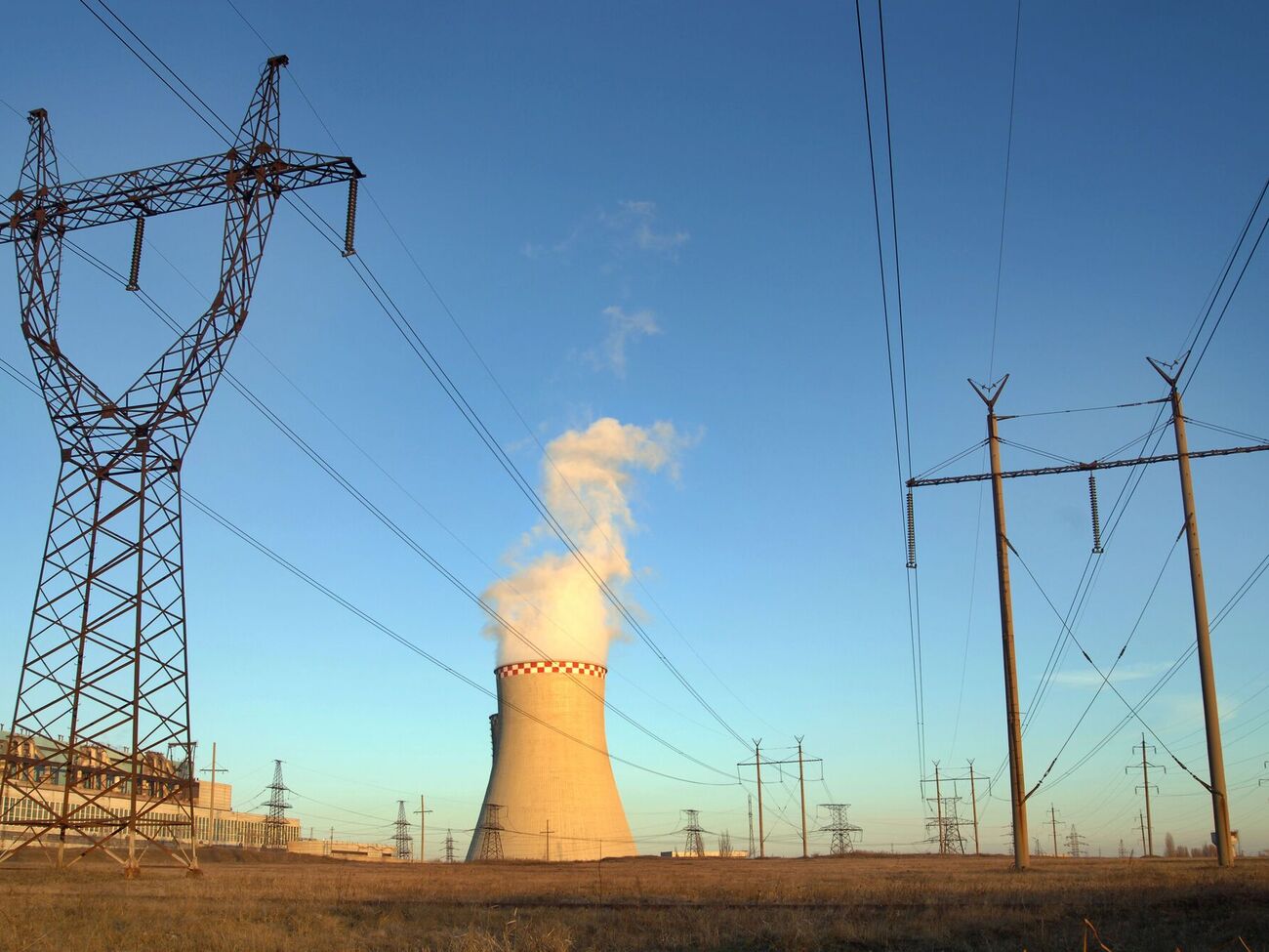 Ни одна страна не обратилась с просьбой об отсрочке, ссылаясь на статью о форс-мажоре, говорится в письме Еврокомиссии