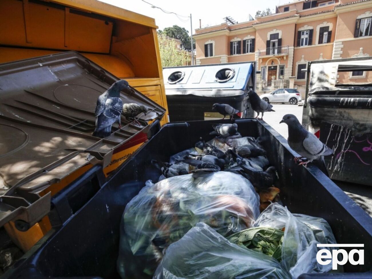 Правоохранители установили мать брошенной девочки