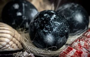 Крашанки будуть темного кольору