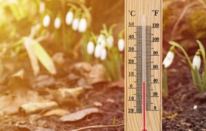 Городники рекомендують напередодні похолодання встановити біля рослин пляшки з водою