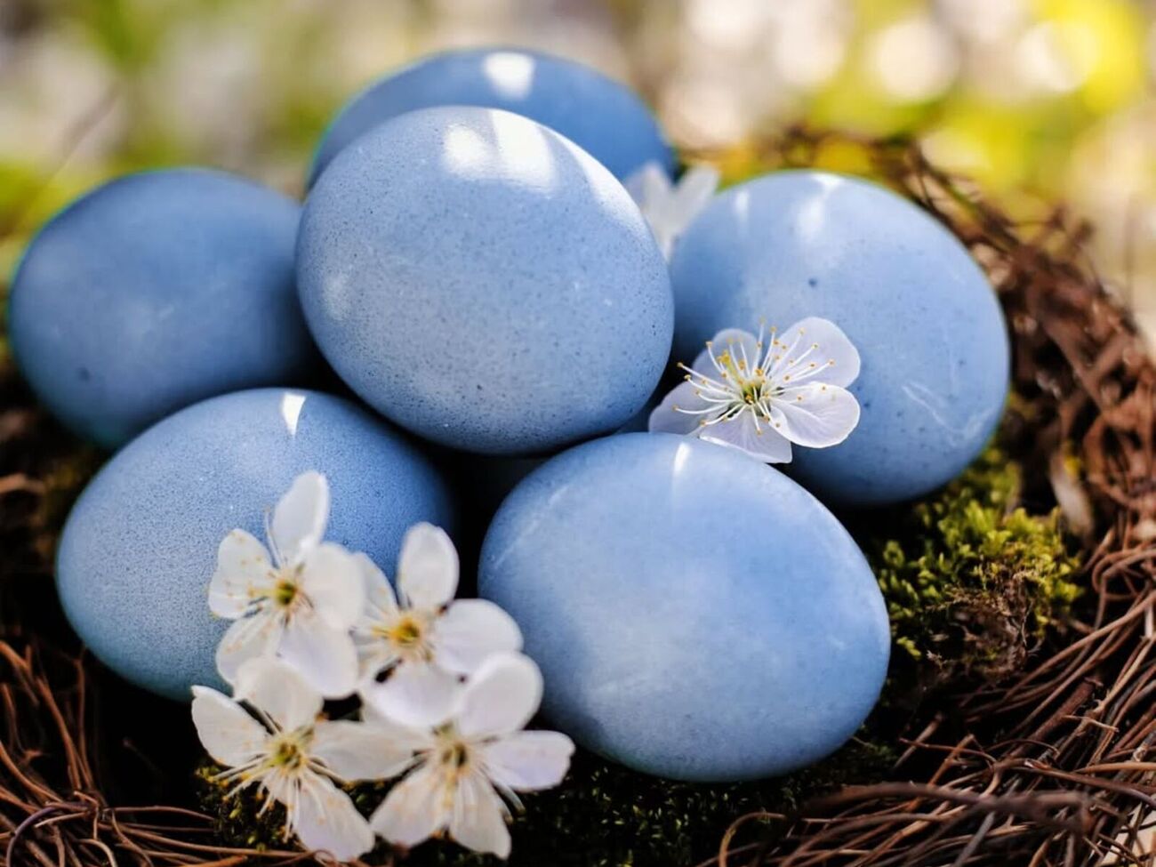 Щоб дістати такий самий колір, як на фото, потрібно настоювати яйця у відварі капусти шість годин