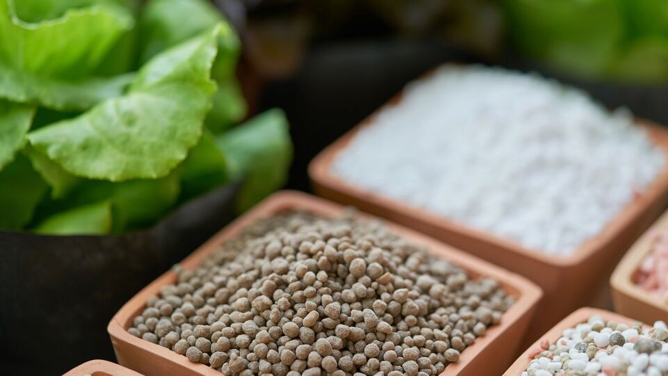 Під різні рослини вносять різні формули добрив