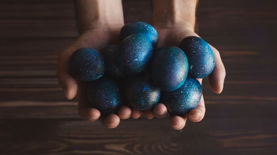 Яйця матимуть синій колір