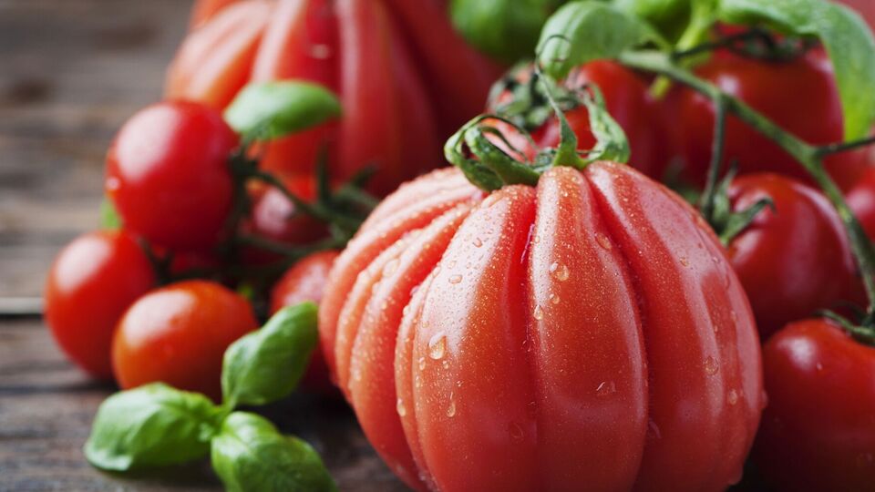 Необычные томаты стоит попробовать вырастить хотя бы раз