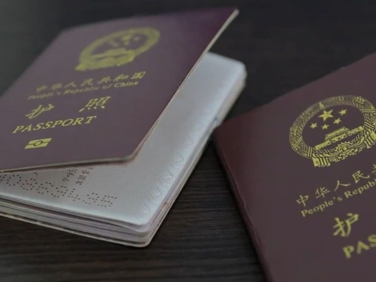 Китайцы попали в плен с документами