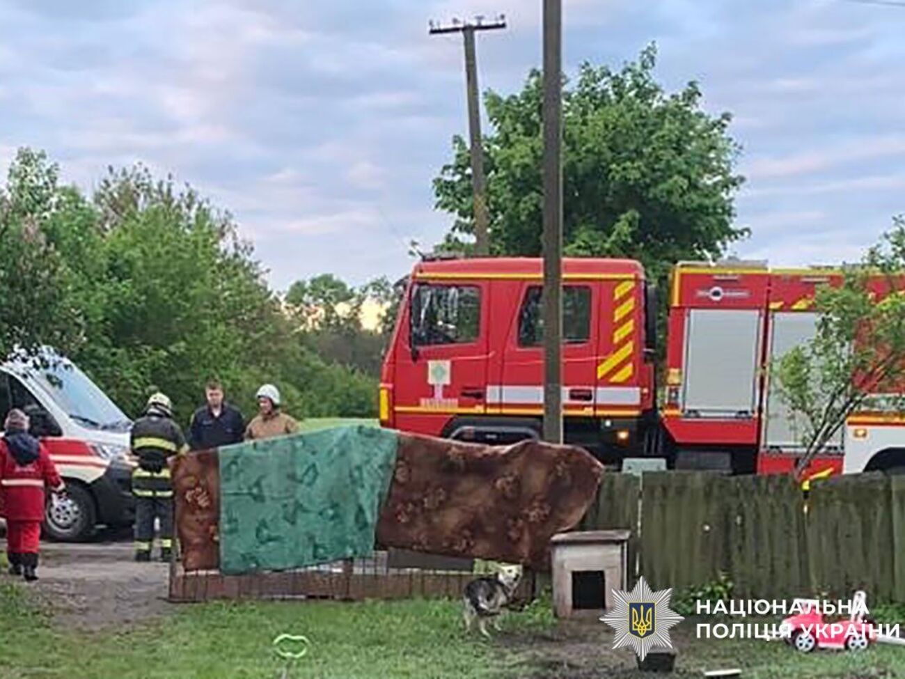 Інцидент стався в селі Вербки