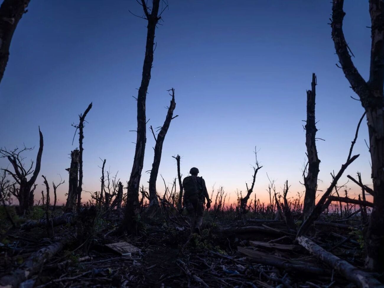 На открытии фестиваля покажут фильм Чернова "2000 метров до Андреевки"
