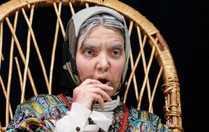 Вистава "створена для шанувальників психологічного театру, наповненого актуальними сенсами і яскравою грою акторів"